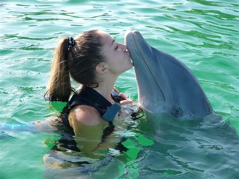 Swimming with Dolphins - ABC Villa Rentals Blog