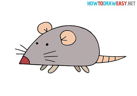 How to Draw a Rat Easy #Rat #RatDrawing #EasyDrawing #HowtoDraw #Mouse ...