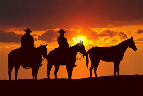 Download Sunset Horse Silhouette Photography Cowboy HD Wallpaper