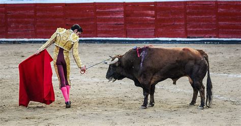 Is Bullfighting Cruel to the Bull?