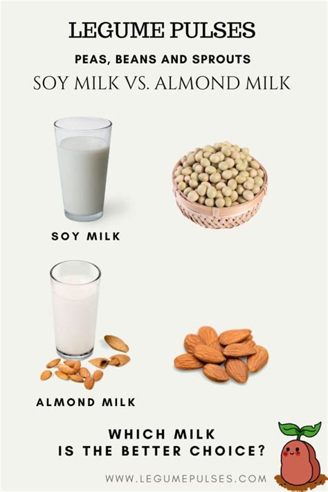 Soy Milk Vs. Almond Milk: Which Is Better For You? - Legume Pulses