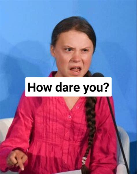 Greta Thunberg how dare you Meme Generator - Piñata Farms - The best ...