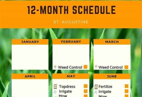 St. Augustine Lawn Care Fertilizer Schedule (Free Printable) – Thriving ...