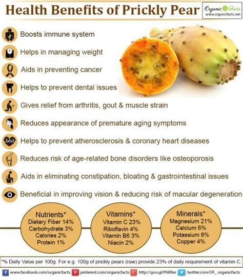 Prickly pear health benefits | Coconut health benefits, Cancer help ...