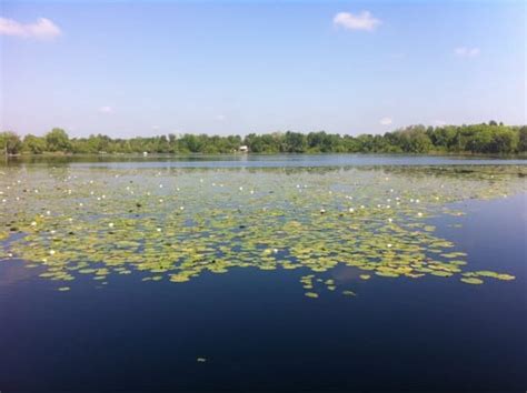 Red Bug Lake Park - Parks - Casselberry, FL - Yelp