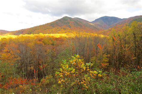 Enjoying Fall Colors in Great Smoky Mountains National Park – Anderson ...