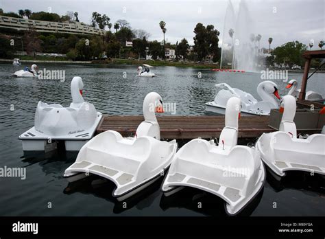 Swan paddle boats at Echo Park lake in Los Angeles, CA Stock Photo - Alamy