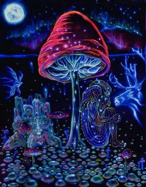 Trippy Shroom Wallpaper Hd