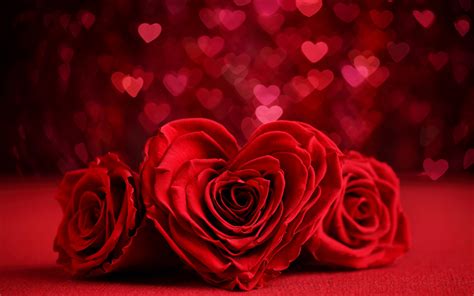 Download wallpapers Valentines Day, roses, hearts, 4k, bokeh, flowers ...