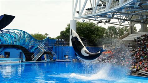 SeaWorld Orlando trip report – May 2014 (a new way to experience ...