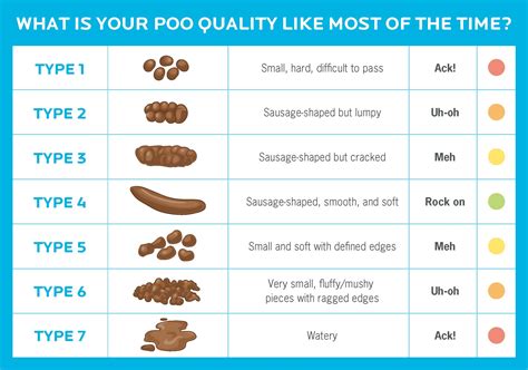 What Helps You Poop | Examples and Forms