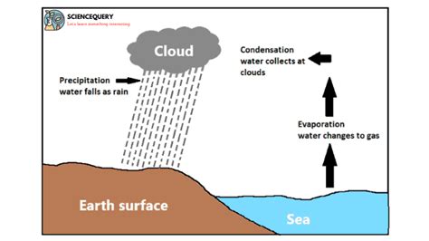 What are the different types of rainfall? - Science Query