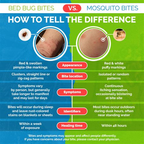 Bed Bug Vs Flea Bites