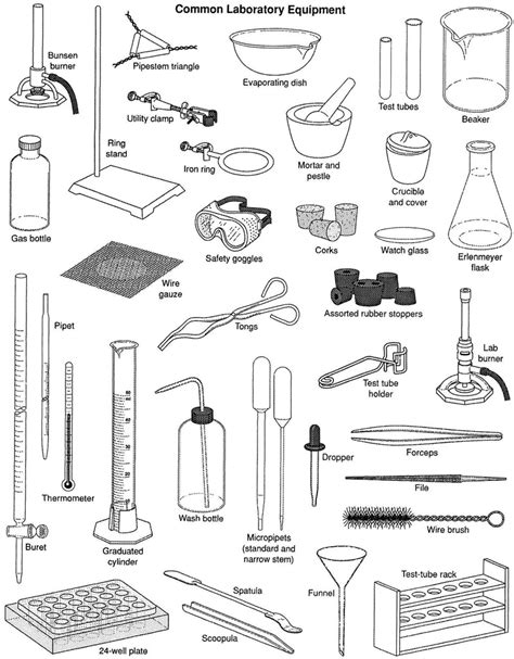 Common Laboratory Equipment Diagram | Quizlet