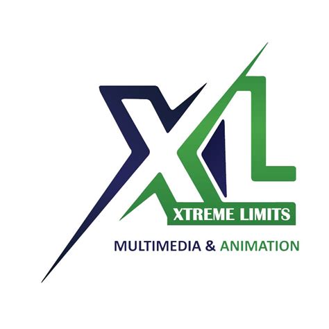 XL MULTIMEDIA AND ANIMATION IN AMRITSAR – Medium