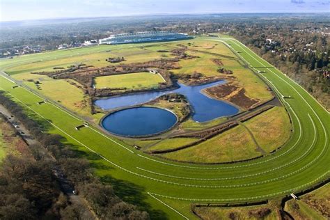 Horse Racing Ground & Track Types Explained: | Caan Berry