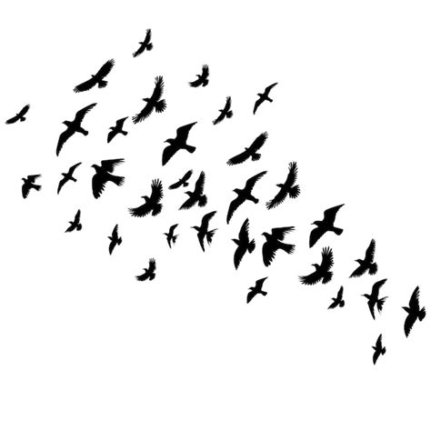 Premium Vector | Flying birds set silhouette isolated on white ...