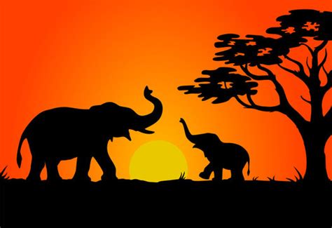 Baby Elephant Silhouette Images – Browse 45,653 Stock Photos, Vectors ...