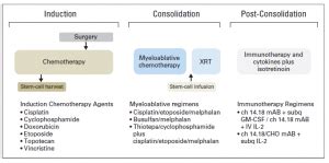 Treatment of High-Risk Neuroblastoma – Blog about neuroblastoma research