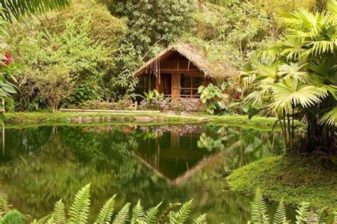 Private Mindo Cloud Forest Tour from Quito