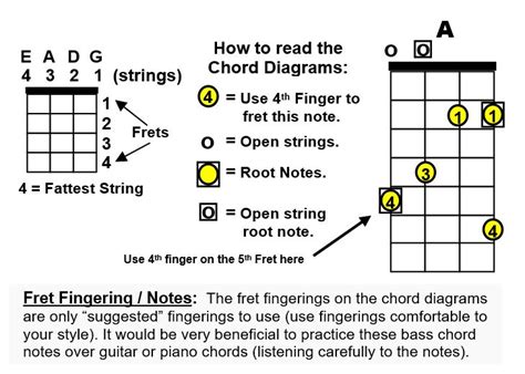 Bass Guitar Chords, Basic Information for Beginner Bass Players