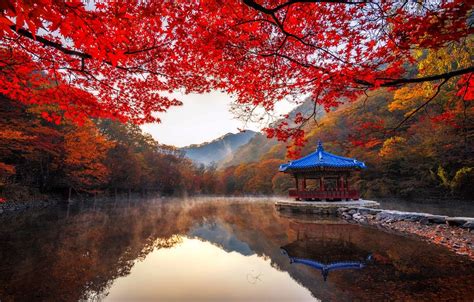 South Korea Autumn Wallpapers - Wallpaper Cave