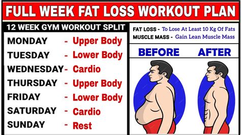 Full Week Workout Plan For Fat Loss | Body Transformation Fat To Fit ...