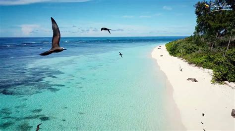 Bird Island, Seychelles - YouTube