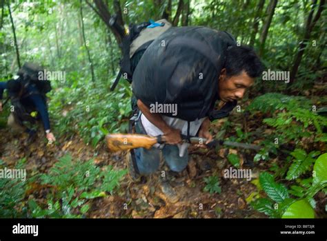 Jungle expedition crossing Panama s infamous Darien region Stock Photo ...