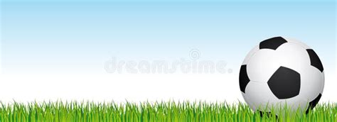 Soccer Banner. Football Stadium Grass and Blue Sky Background. Header ...