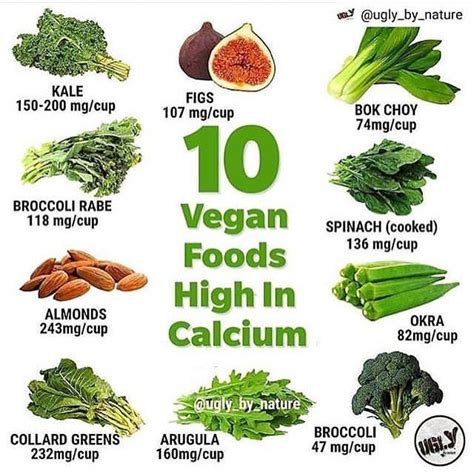 10 Vegan Foods High in Calcium Smoothie Recipes Healthy, Smoothie Diet ...