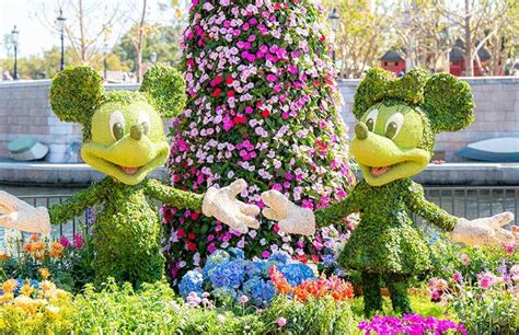 Disney Flower Festival 2024 - Sal Lesley