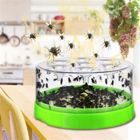 Gnat Killer for Indoor, Fungus Gnat Trap for Kitchen/Home, Fruit Fly ...