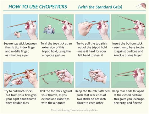 Soar Infectious disease insert knuckle chopsticks pneumonia reflect ...