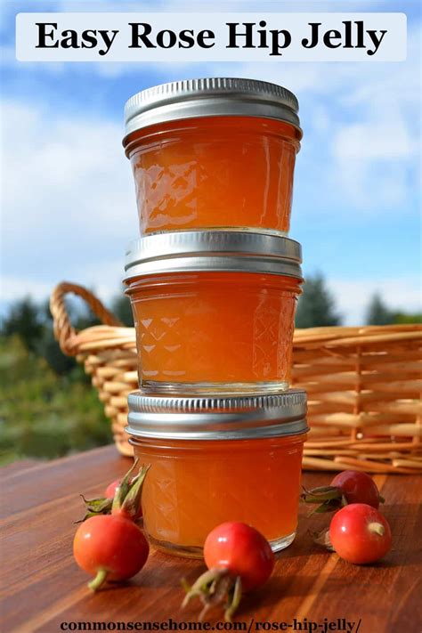 Rose Hip Jelly from Wild or Garden Roses (Low Sugar)