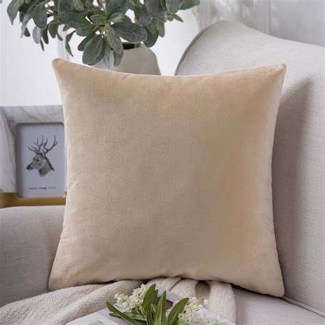 Phantoscope Soft Silky Velvet Series Decorative Throw Pillow, 22" x 22 ...