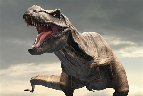 Tyrannosaurus rex had 'air-con' in its head - BBC News