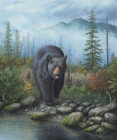 Smoky Mountain Black Bear by Robert Wavra in 2022 | Black bears art ...