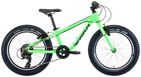 THE ULTIMATE KIDS MOUNTAIN BIKE BUYER'S GUIDE