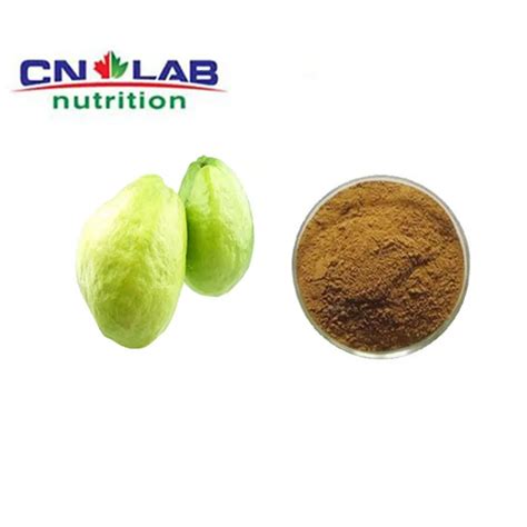 High Quality Guava Leaf Extract Powder 40% Ellagic Acid - Buy Guava ...