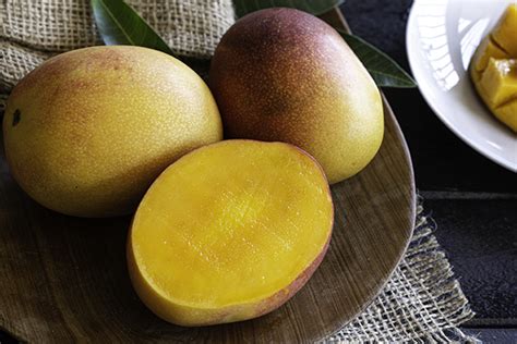 Everything You Wanted to Know About Mangoes | LaptrinhX / News