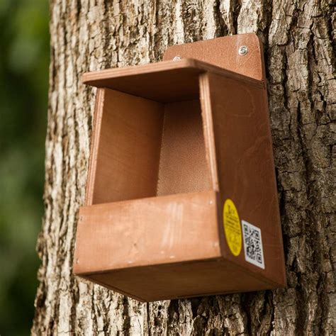 Robin Nest Box | The Nestbox Company