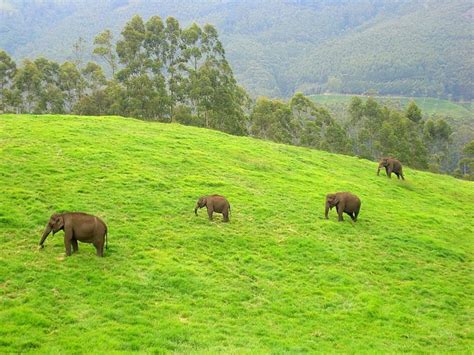 UTTAR PRADESH -TOP 3- NATIONAL PARKS TO VISIT – IndiaChal