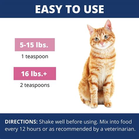 Cat Diarrhea Treatment Helps Soothe An Upset Stomach When Your Cat Has ...