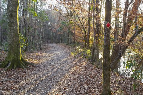 Best hike Bogue Chitto State Park Louisiana | The Heart of Louisiana