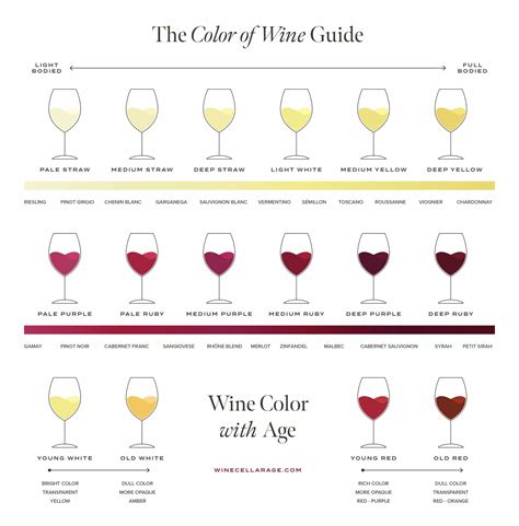 A Guide to The Color of Wine (and what it can tell you) - The Wine ...