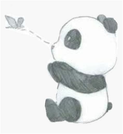 Cute Pandas Drawings Easy