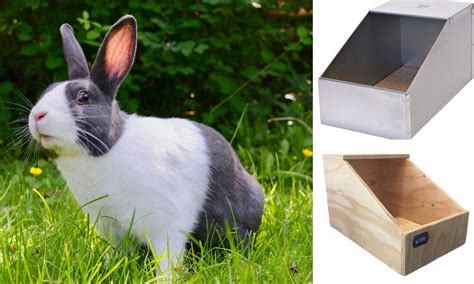 The Essential Guide to Rabbit Nesting Box Dimensions