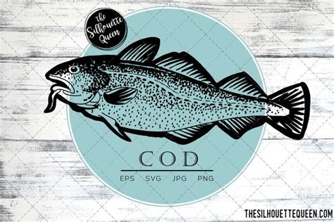 Hand drawn, Sketched Cod Fish Vector