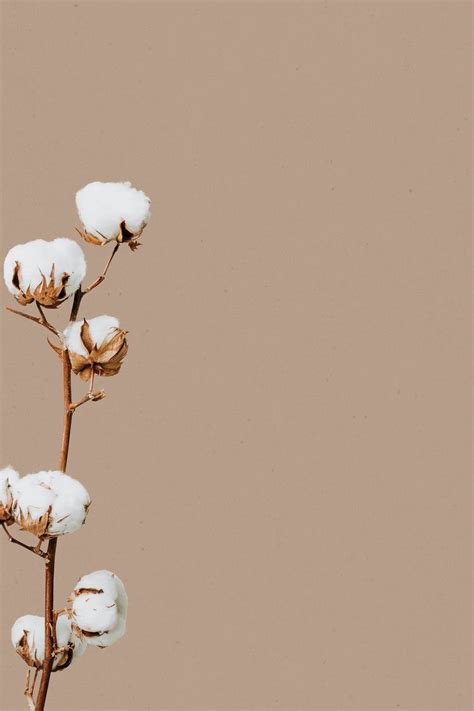 Download free illustration of Beige minimal flower background design ...